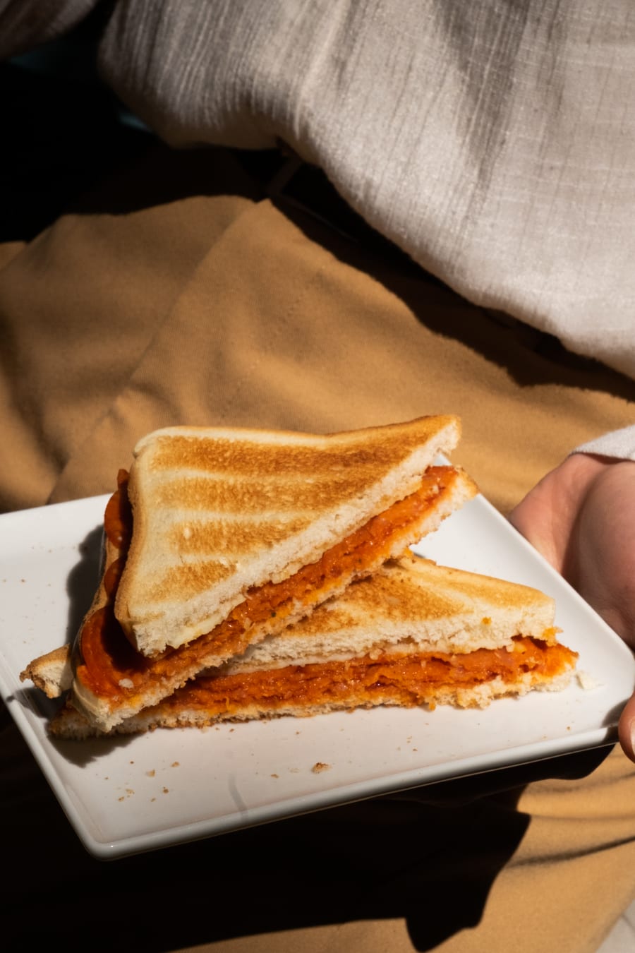 Schezwan Cheese Sandwich