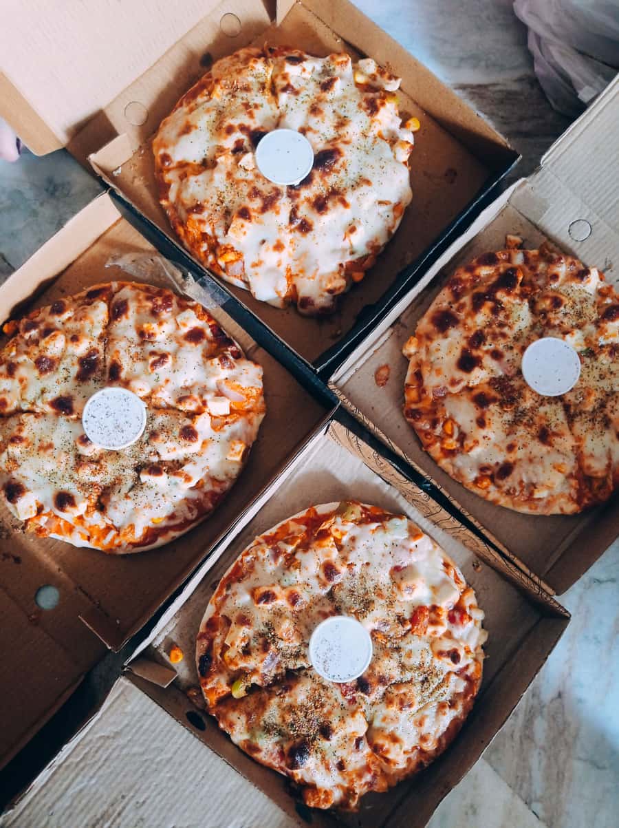 Veg Delight Cheese Pizza