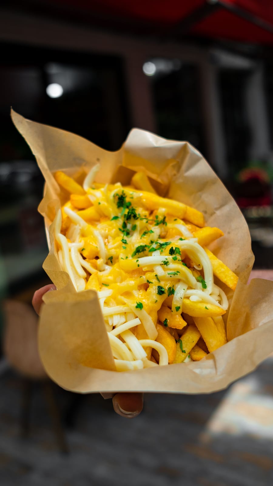 Cheese French Fries