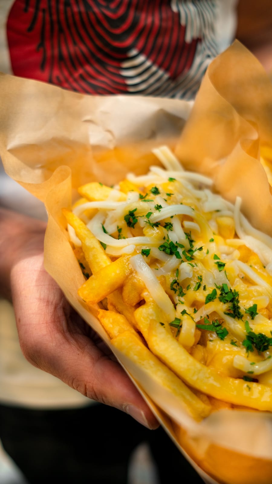Overloaded fries