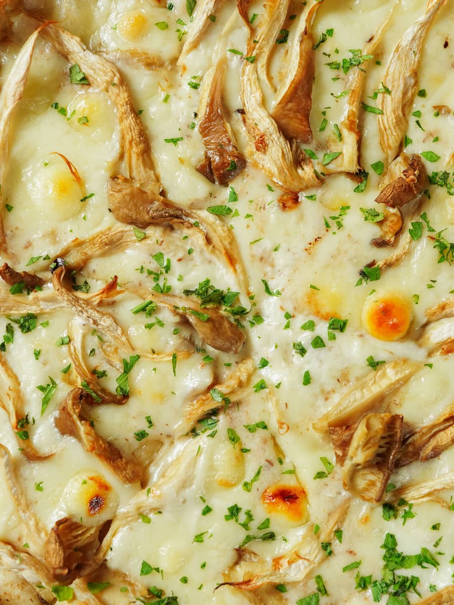 MUSHROOM ROOT PIZZA