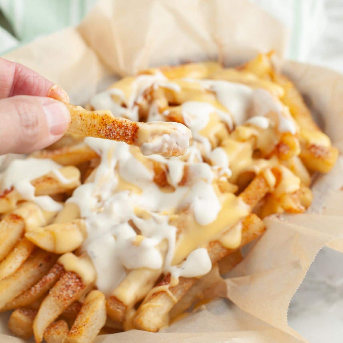 Cheese french fries