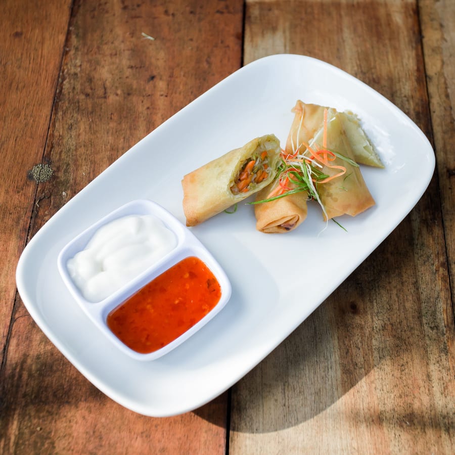 Chowmein Spring Roll