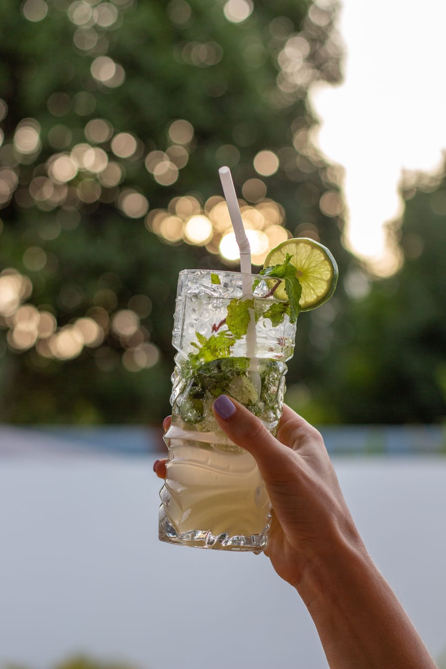 Sundrani Special Mojito