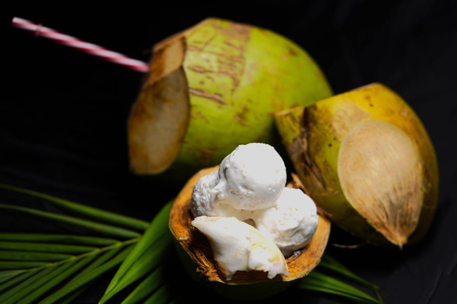 TENDER COCONUT SCOOP